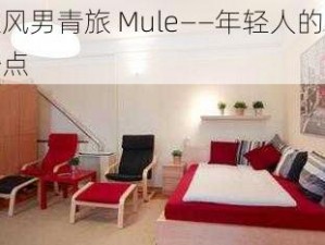 快乐风男青旅 Mule——年轻人的社交新据点