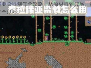 泰拉瑞亚染料制作全攻略：从原材料到成品，揭秘染料制作全过程