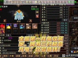 天龙八部手游全新宠物揭秘：龙龟宝宝的全面技能属性图鉴解析