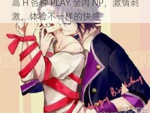 高 H 各种 PLAY 全肉 NP，激情刺激，体验不一样的快感