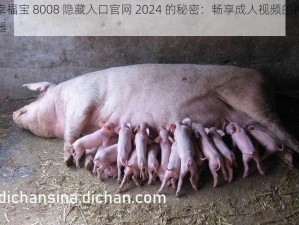 幸福宝 8008 隐藏入口官网 2024 的秘密：畅享成人视频的神器