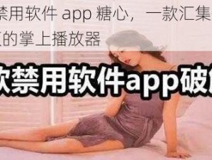 18 款禁用软件 app 糖心，一款汇集各种类型视频的掌上播放器