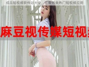 成品短视频软件站大全，汇聚各类热门短视频应用