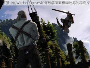 巫师3：狂猎中的Witcher Senses如何破解画面模糊迷雾的秘密探索之旅