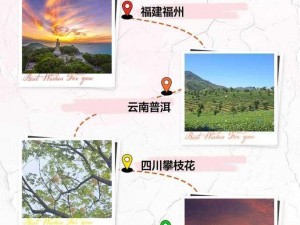 春光无限探寻四季之春位置攻略：踏春之旅全解析