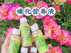 适合老年妇女的天然植物保健品，改善睡眠，提高免疫力