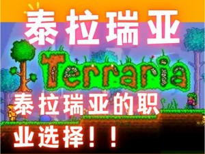 泰拉瑞亚游戏转职条件概览与指南：深入了解职业转变要求 2021最新版