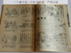 一个傻子弄一个村 350 章：产品介绍