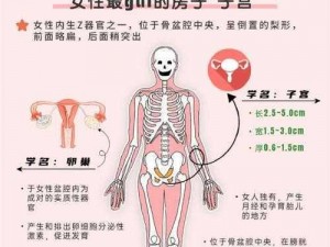 流产恢复宝，关爱女性健康，呵护女性子宫