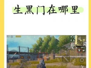 精英：精准攻略与隐秘守卫之道