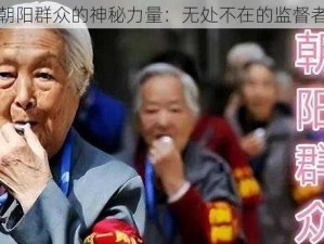 朝阳群众的神秘力量：无处不在的监督者