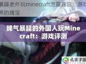 暴躁老外玩minecraft泄露真容：游戏界的瑰宝