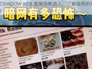 通过SHADOW WEB 直接恐怖进入，了解暗网的黑暗世界