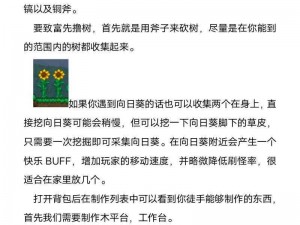 泰拉瑞亚新手攻略：探索最适合的游戏世界类型，玩转各种游戏模式