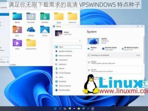 满足你无限下载需求的高清 VPSWINDOWS 特点种子