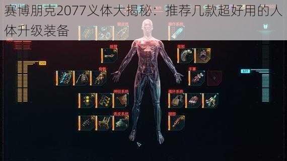 赛博朋克2077义体大揭秘:推荐几款超好用的人体升级装备