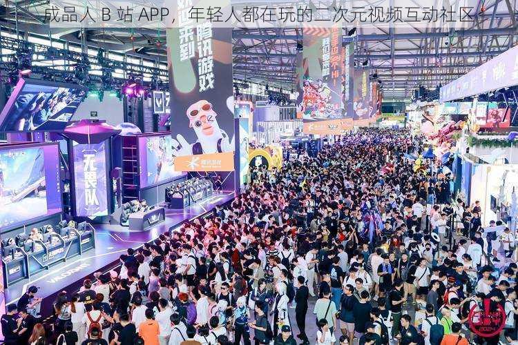 成品人 B 站 APP,年轻人都在玩的二次元视频互动社区