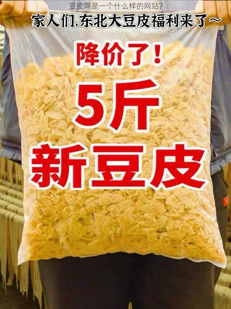 豆皮网是一个什么样的网站？