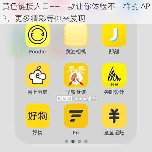 黄色链接入口——一款让你体验不一样的 APP，更多精彩等你来发现