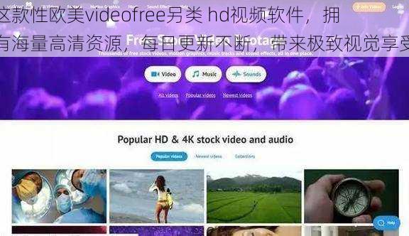 这款性欧美videofree另类 hd视频软件，拥有海量高清资源，每日更新不断，带来极致视觉享受