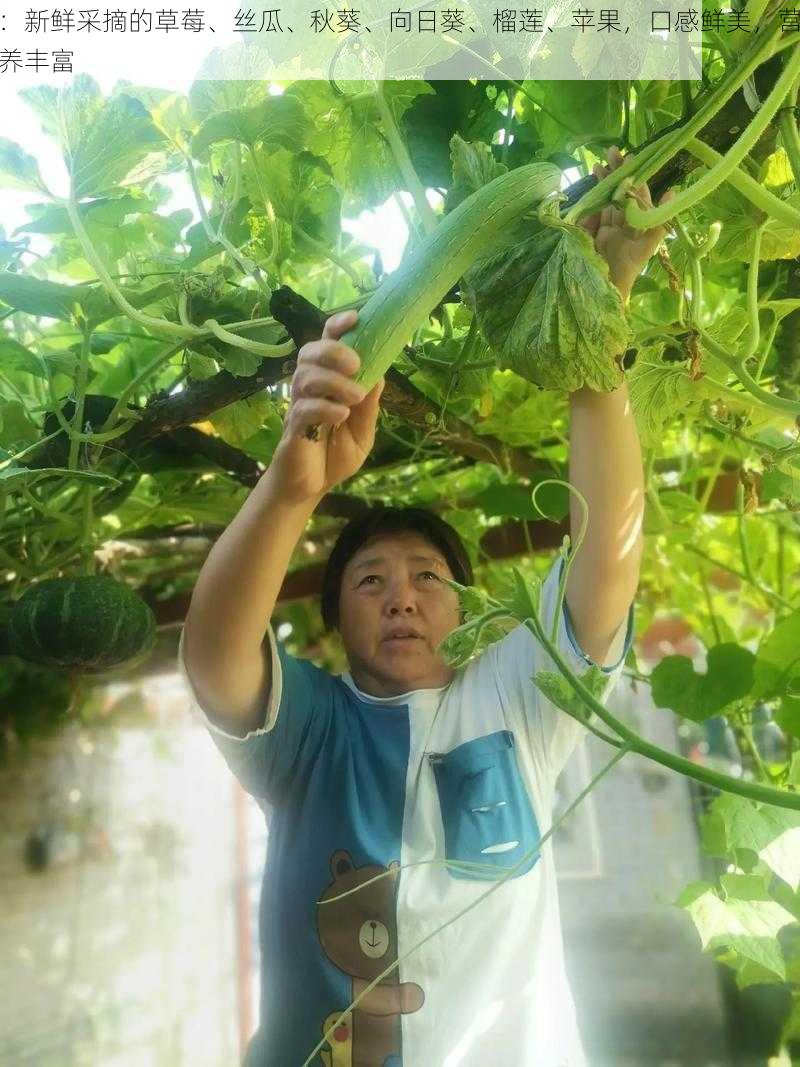 ：新鲜采摘的草莓、丝瓜、秋葵、向日葵、榴莲、苹果，口感鲜美，营养丰富