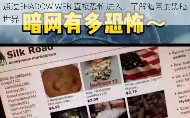 通过SHADOW WEB 直接恐怖进入，了解暗网的黑暗世界