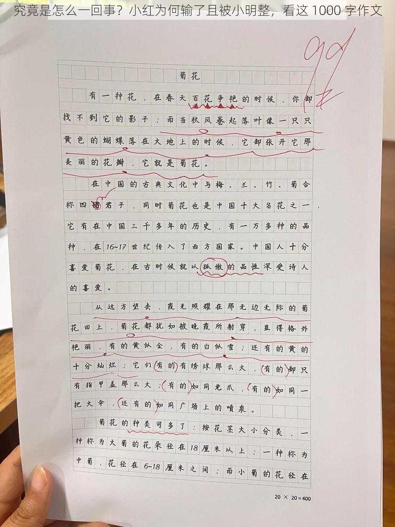 究竟是怎么一回事？小红为何输了且被小明整，看这 1000 字作文