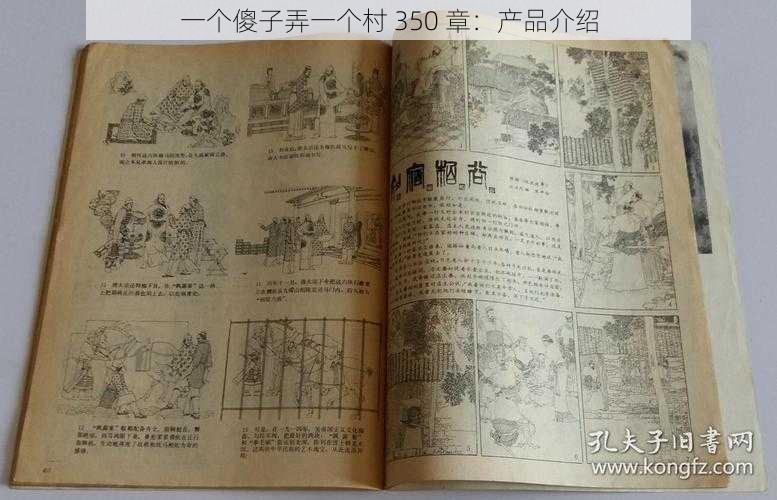 一个傻子弄一个村 350 章：产品介绍