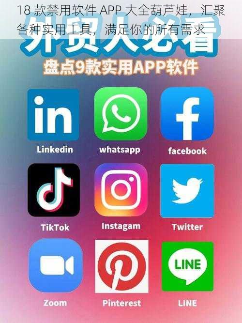 18 款禁用软件 APP 大全葫芦娃，汇聚各种实用工具，满足你的所有需求