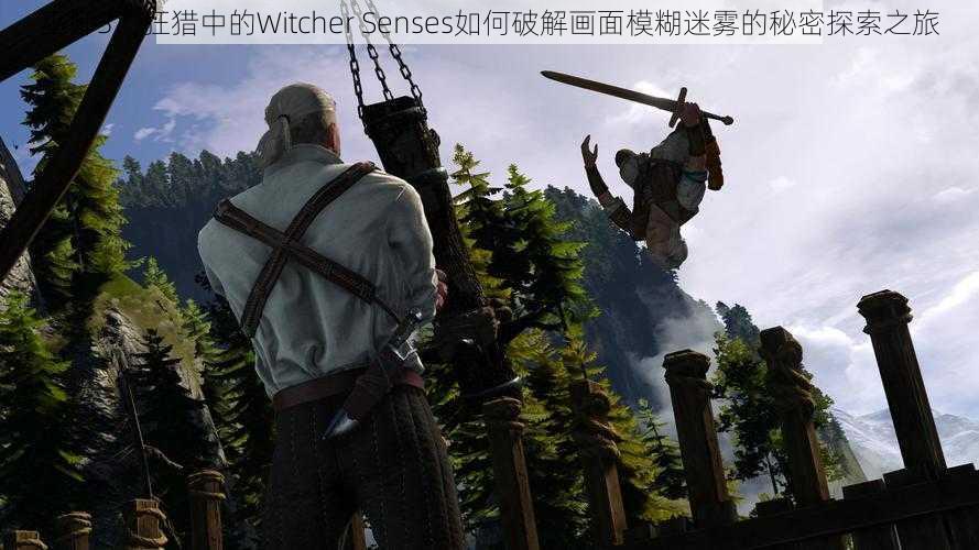 巫师3：狂猎中的Witcher Senses如何破解画面模糊迷雾的秘密探索之旅