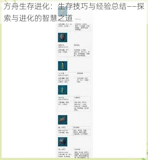 方舟生存进化：生存技巧与经验总结——探索与进化的智慧之道