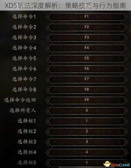 XD5玩法深度解析：策略技巧与行为指南