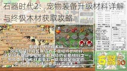 石器时代2：宠物装备升级材料详解与终极木材获取攻略