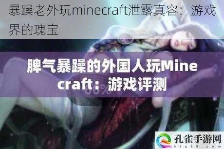 暴躁老外玩minecraft泄露真容：游戏界的瑰宝