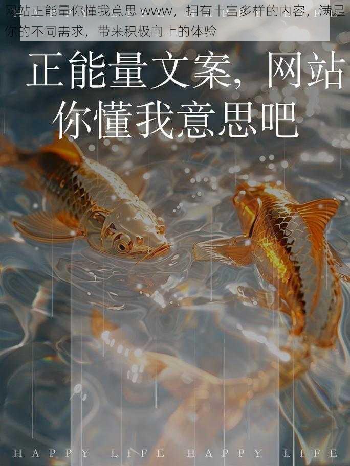 网站正能量你懂我意思 www，拥有丰富多样的内容，满足你的不同需求，带来积极向上的体验