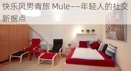 快乐风男青旅 Mule——年轻人的社交新据点