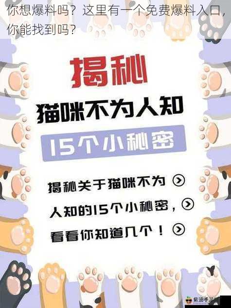 你想爆料吗？这里有一个免费爆料入口，你能找到吗？