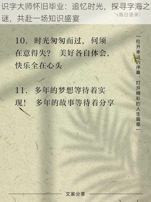 识字大师怀旧毕业：追忆时光，探寻字海之谜，共赴一场知识盛宴