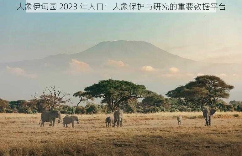 大象伊甸园 2023 年人口：大象保护与研究的重要数据平台