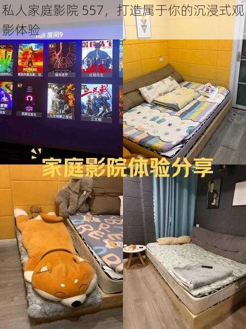 私人家庭影院 557，打造属于你的沉浸式观影体验