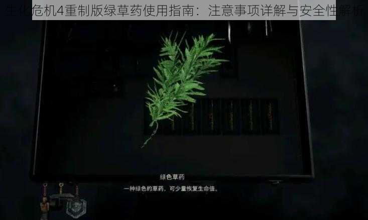 生化危机4重制版绿草药使用指南：注意事项详解与安全性解析