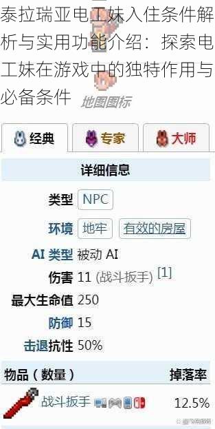 泰拉瑞亚电工妹入住条件解析与实用功能介绍：探索电工妹在游戏中的独特作用与必备条件