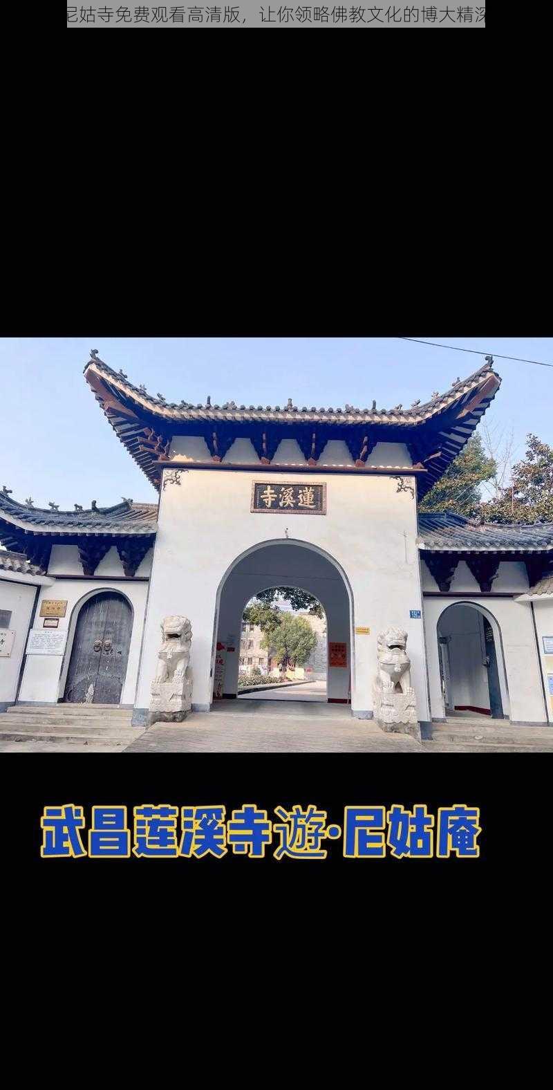 尼姑寺免费观看高清版，让你领略佛教文化的博大精深