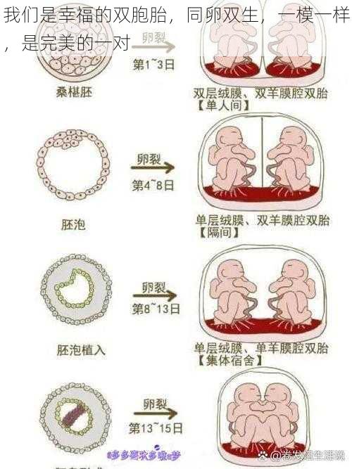 我们是幸福的双胞胎，同卵双生，一模一样，是完美的一对