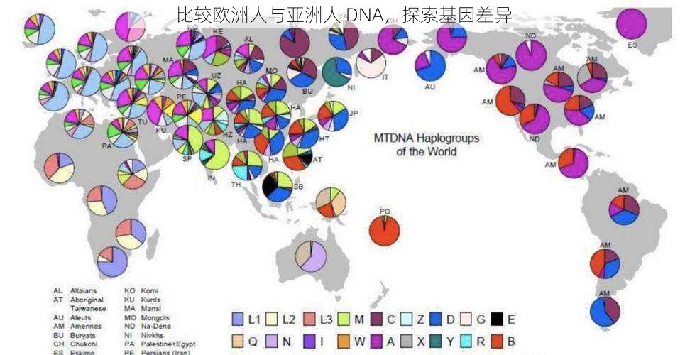 比较欧洲人与亚洲人 DNA，探索基因差异