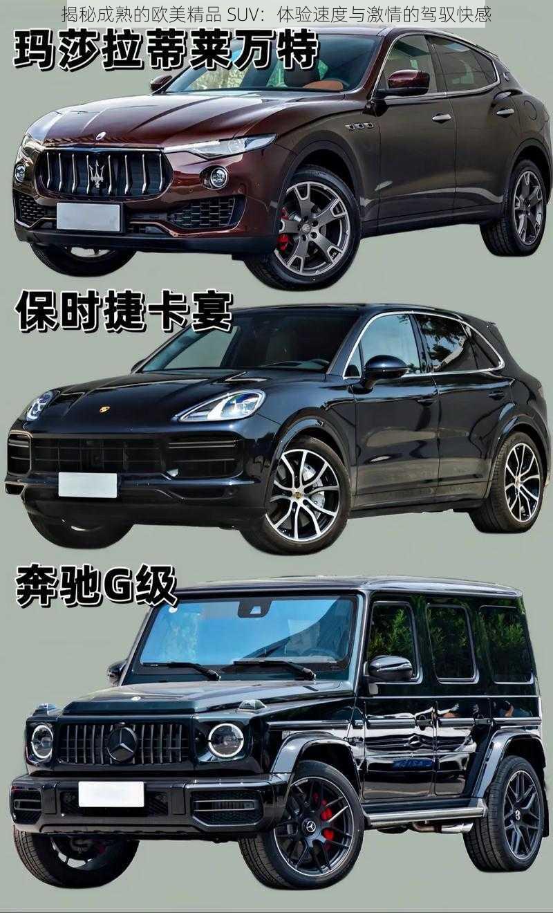 揭秘成熟的欧美精品 SUV：体验速度与激情的驾驭快感