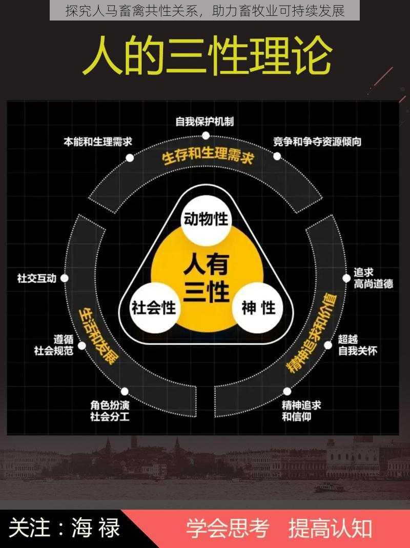 探究人马畜禽共性关系，助力畜牧业可持续发展