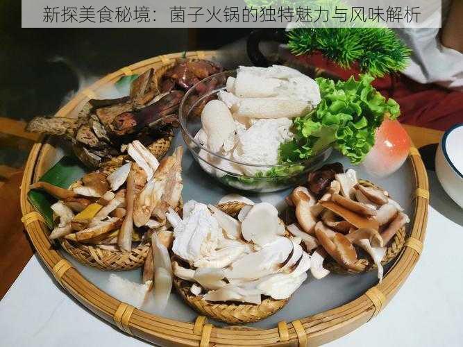 新探美食秘境：菌子火锅的独特魅力与风味解析