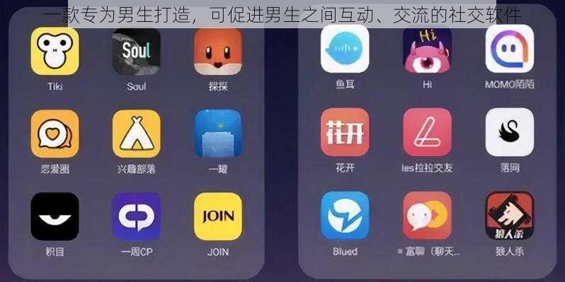 一款专为男生打造，可促进男生之间互动、交流的社交软件